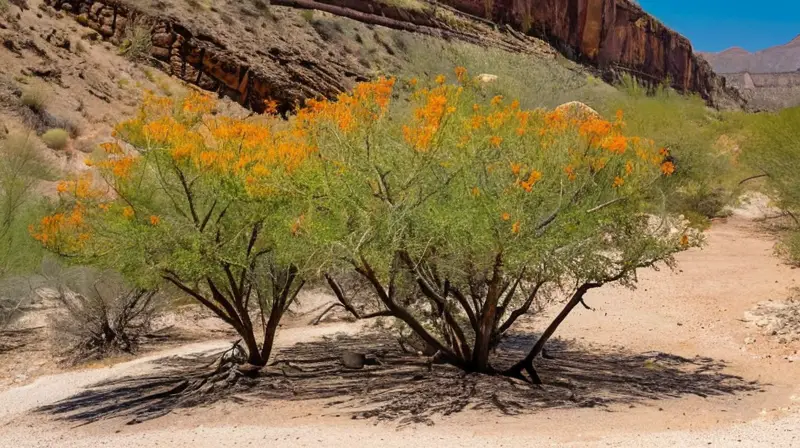 La tierra árida está cubierta de rocas y arbustos, con palo verde y ajo chino que destacan entre el paisaje rígido